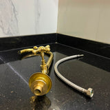 Solid Brass Gooseneck Faucet with Cross Handle & Supply Hose.