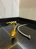 Solid Brass Gooseneck Faucet with Cross Handle & Supply Hose.